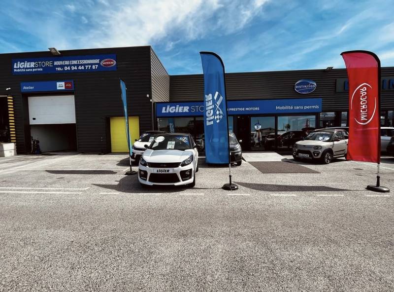 Vente voiture sans permis